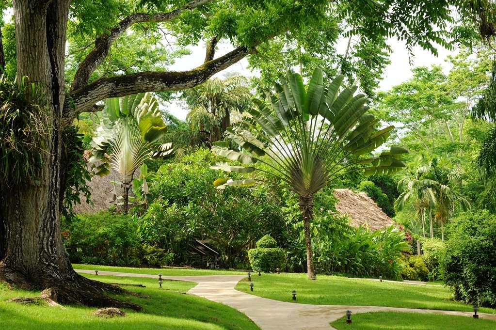 The Lodge At Chaacreek San Ignacio Eksteriør bilde
